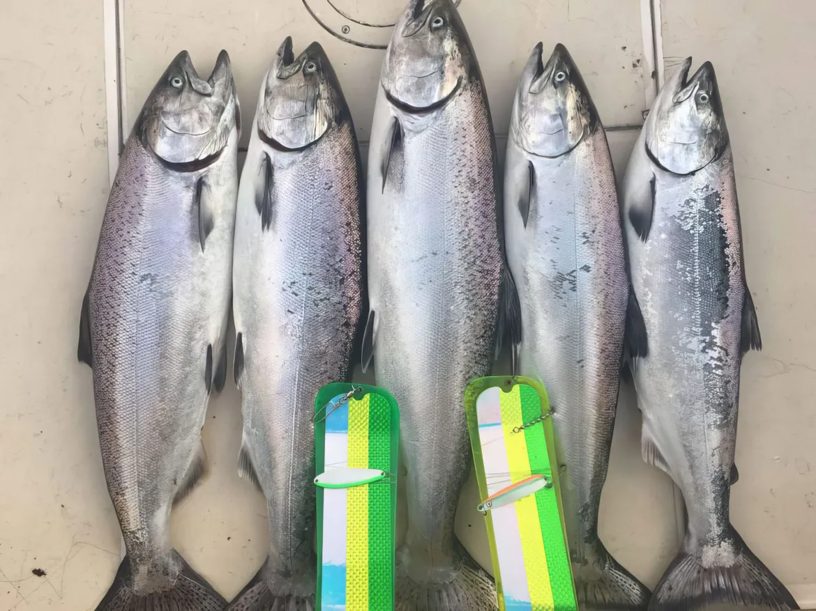 fishing lures georgia strait