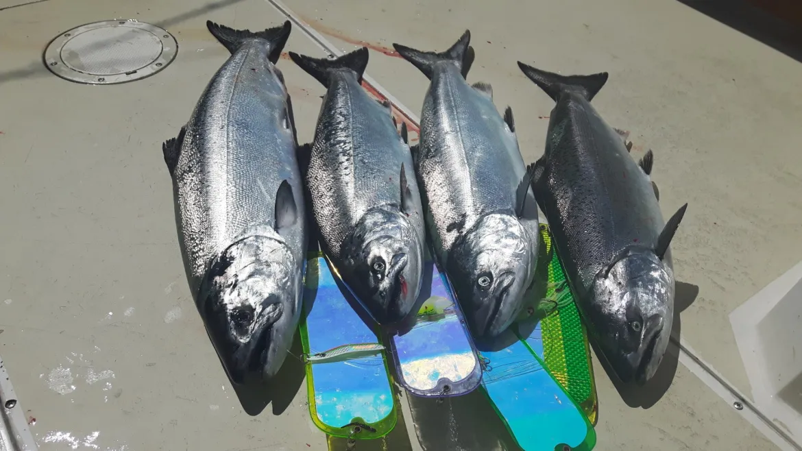 Gibbs Delta Vancouver Fishing Tackle