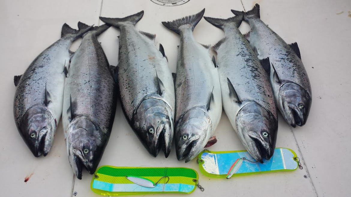 Vancouver Salmon Fishing Flashers