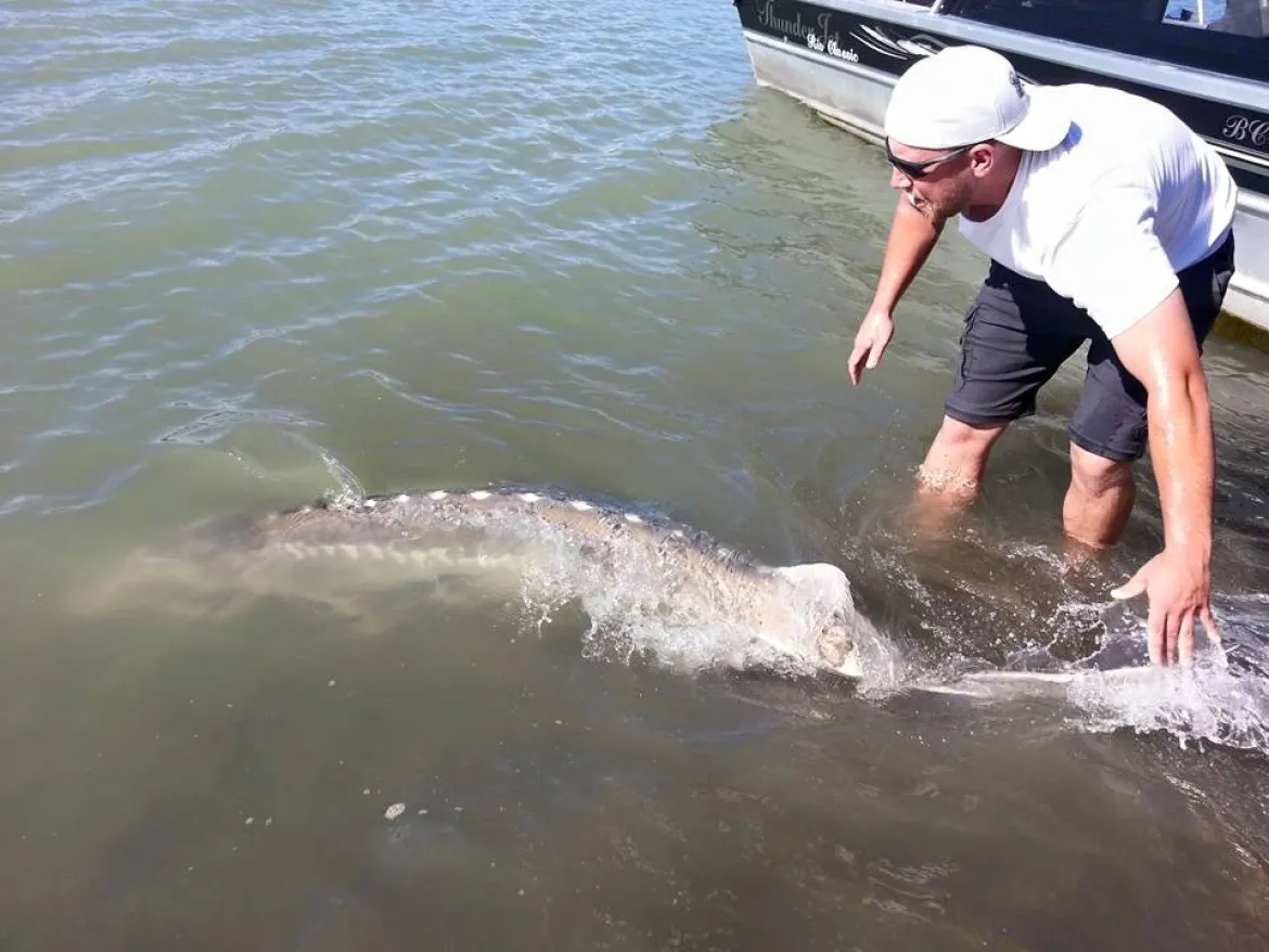 Vancouver Sturgeon Fishing
