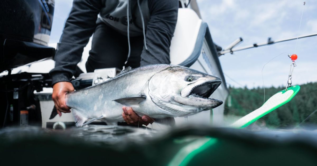 Vancouver BC Salmon Fishing Charters - Bon Chovy Salmon Fishing Charters