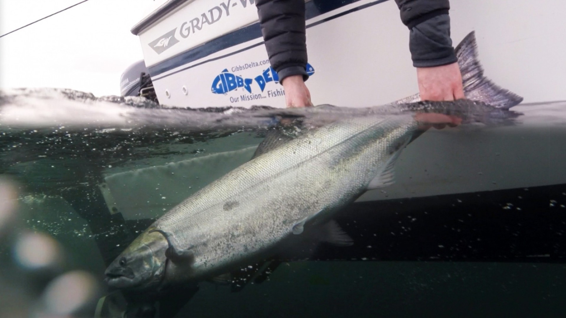 Vancouver BC Salmon Fishing Charters - Bon Chovy Salmon Fishing Charters