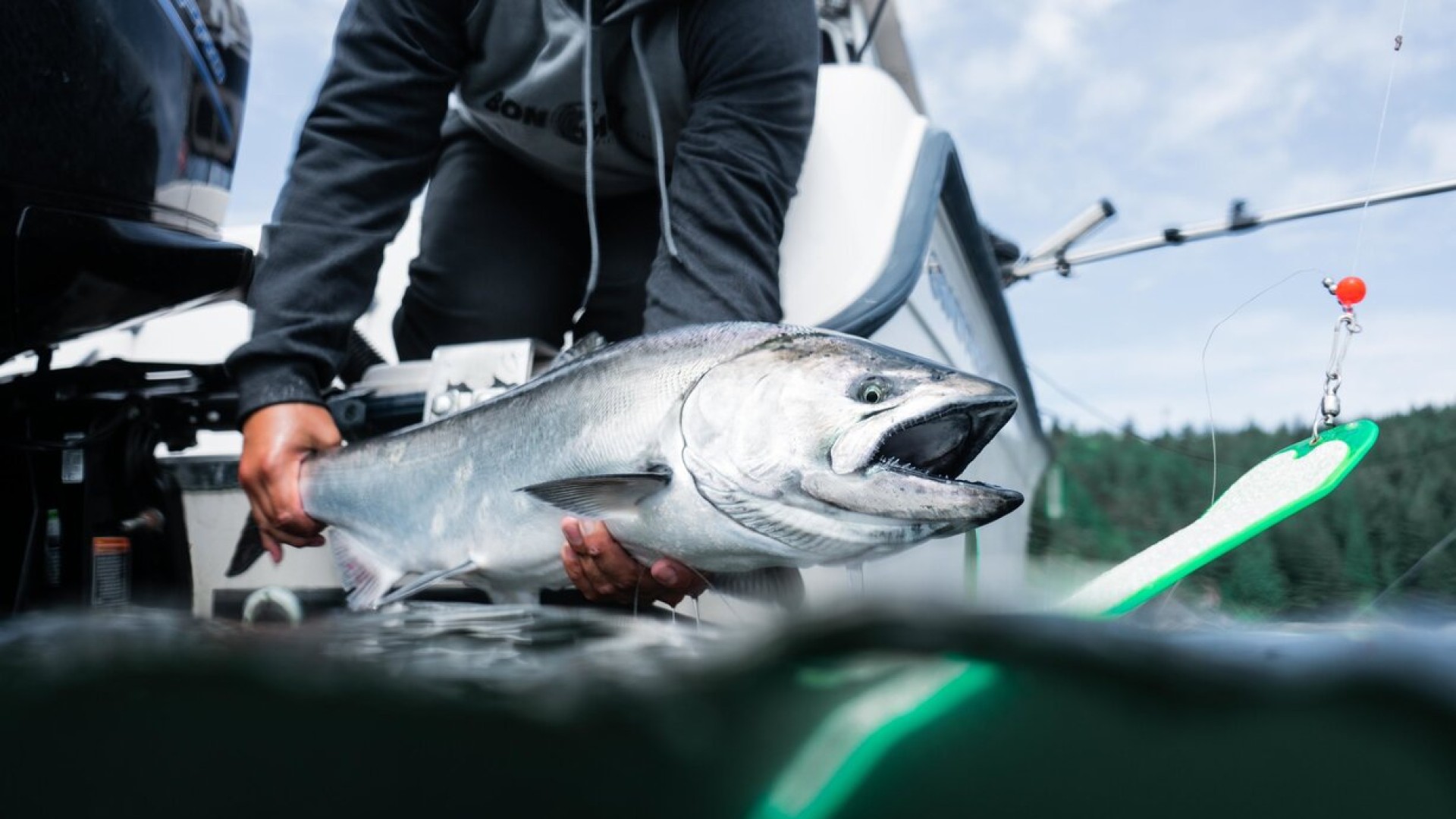 Fishing in BC Restart!! Salmon fishing in Vancouver and Sidney. - Bon Chovy Salmon  Fishing Charters