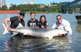 Vancouver Sturgeon Fishing