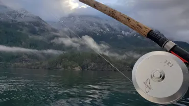 Select Image to view