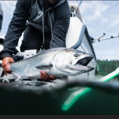 Vancouver Saltwater Fishing Report: January 15, 2016 - Vancouver