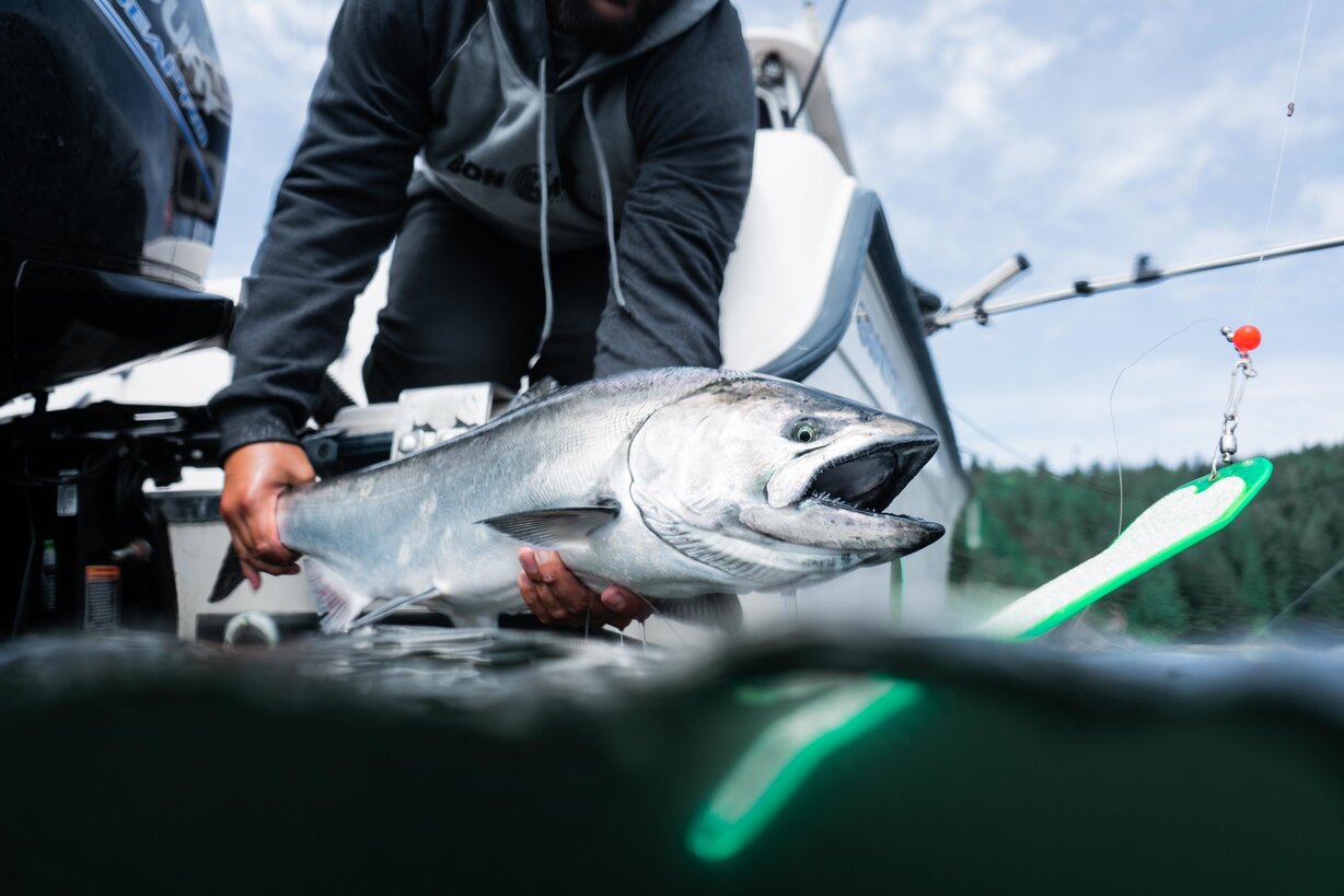 Vancouver BC Salmon Fishing Charters - Bon Chovy Salmon Fishing Charters